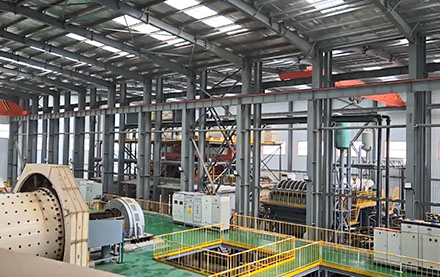 Guinea 3000 TPD Gold Carbon-In-Pulp Plant Project Operation