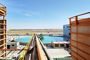 Carbon Neutrality and Carbon Offsetting