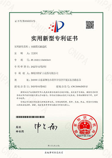LETTERS OF PATENTS