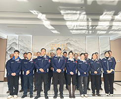 Expert team